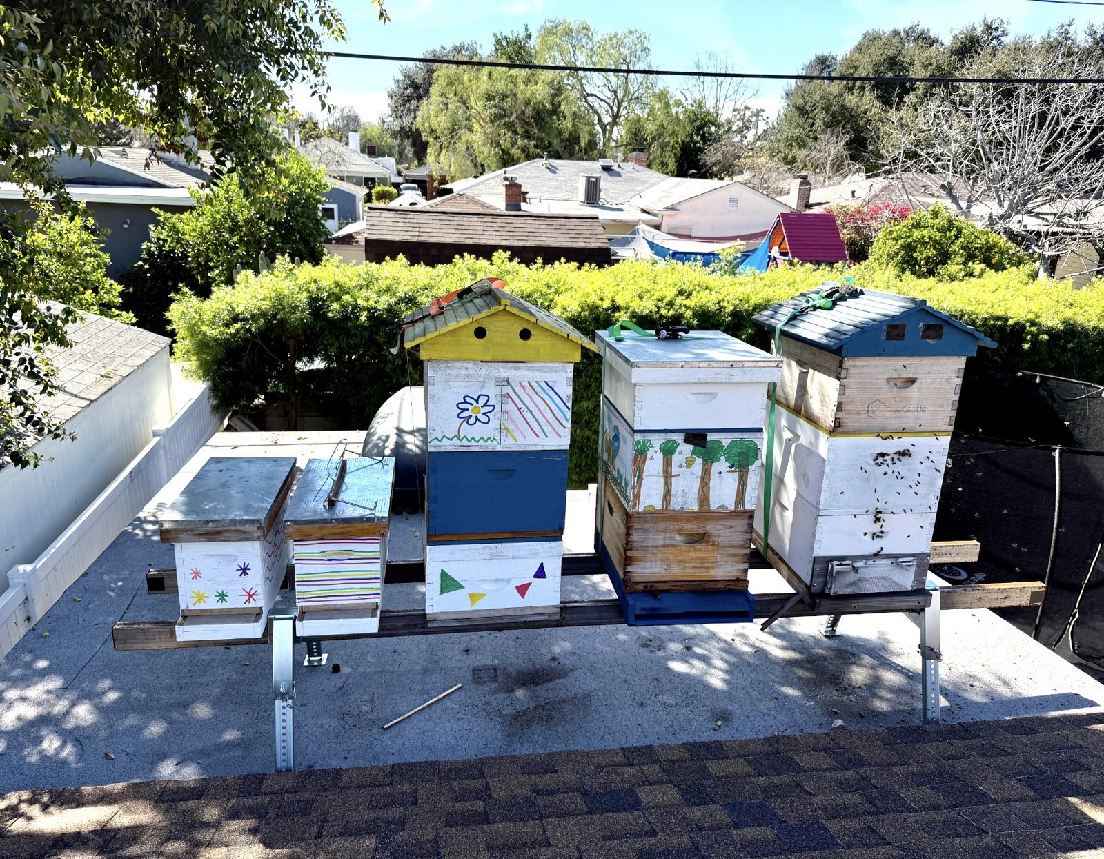 Urban Bee Dude Gallery Image 1