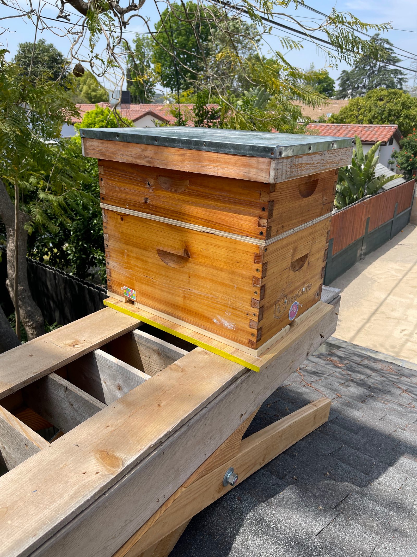 Urban Bee Dude Gallery Image 2