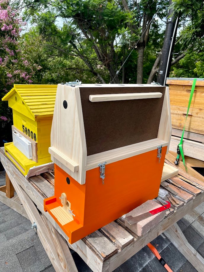 Observation Hive